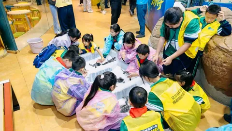 新阵容曝光，版本适配成焦点